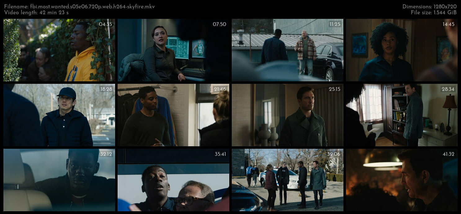 FBI Most Wanted S05E06 720p WEB H264 SKYFiRE TGx