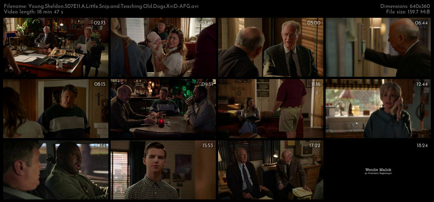 Young Sheldon S07E11 A Little Snip and Teaching Old Dogs XviD AFG TGx