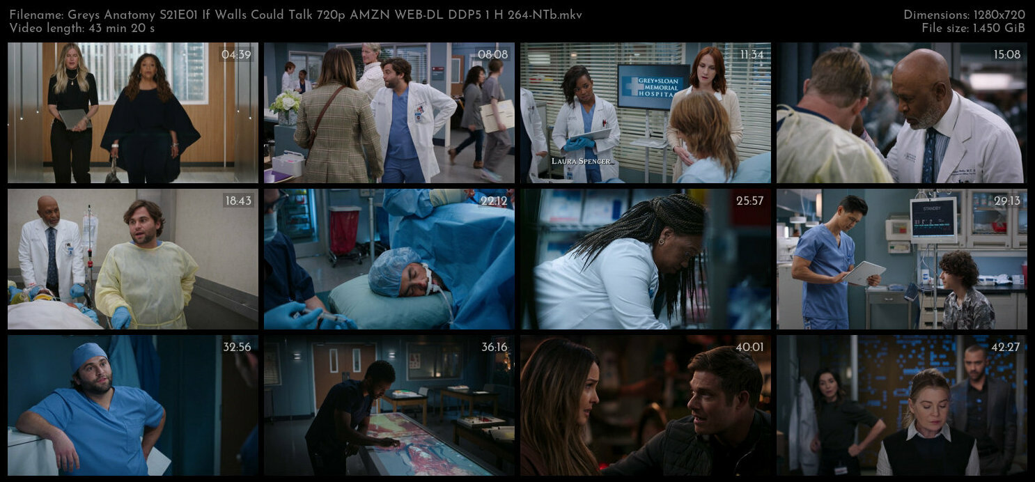 Greys Anatomy S21E01 If Walls Could Talk 720p AMZN WEB DL DDP5 1 H 264 NTb TGx