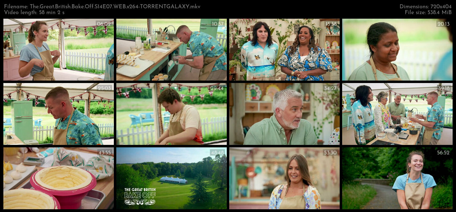 The Great British Bake Off S14E07 WEB x264 TORRENTGALAXY