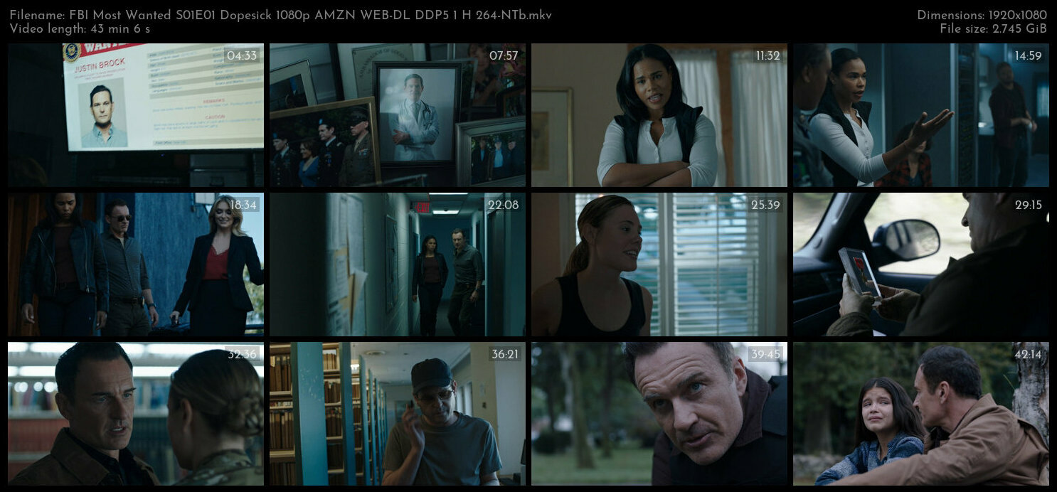 FBI Most Wanted S01E01 Dopesick 1080p AMZN WEB DL DDP5 1 H 264 NTb TGx