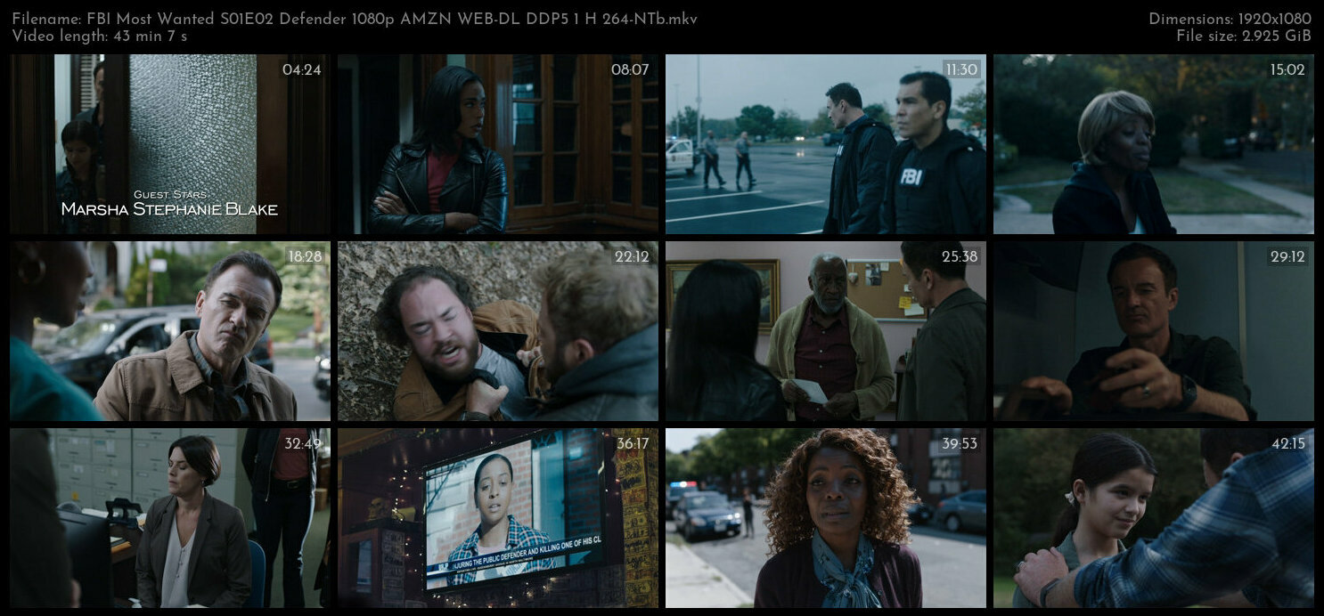 FBI Most Wanted S01E02 Defender 1080p AMZN WEB DL DDP5 1 H 264 NTb TGx