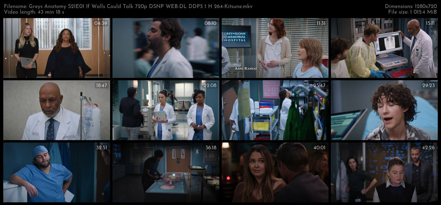 Greys Anatomy S21E01 If Walls Could Talk 720p DSNP WEB DL DDP5 1 H 264 Kitsune TGx