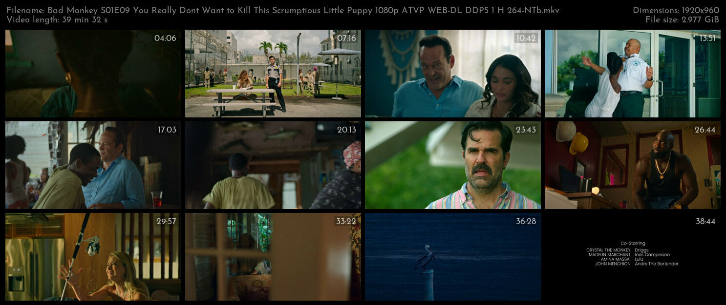 Bad Monkey S01E09 You Really Dont Want to Kill This Scrumptious Little Puppy 1080p ATVP WEB DL DDP5