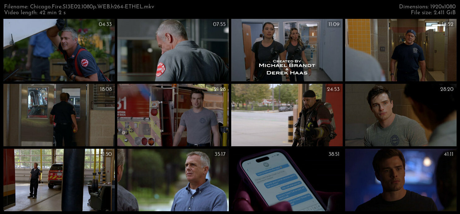 Chicago Fire S13E02 1080p WEB h264 ETHEL TGx