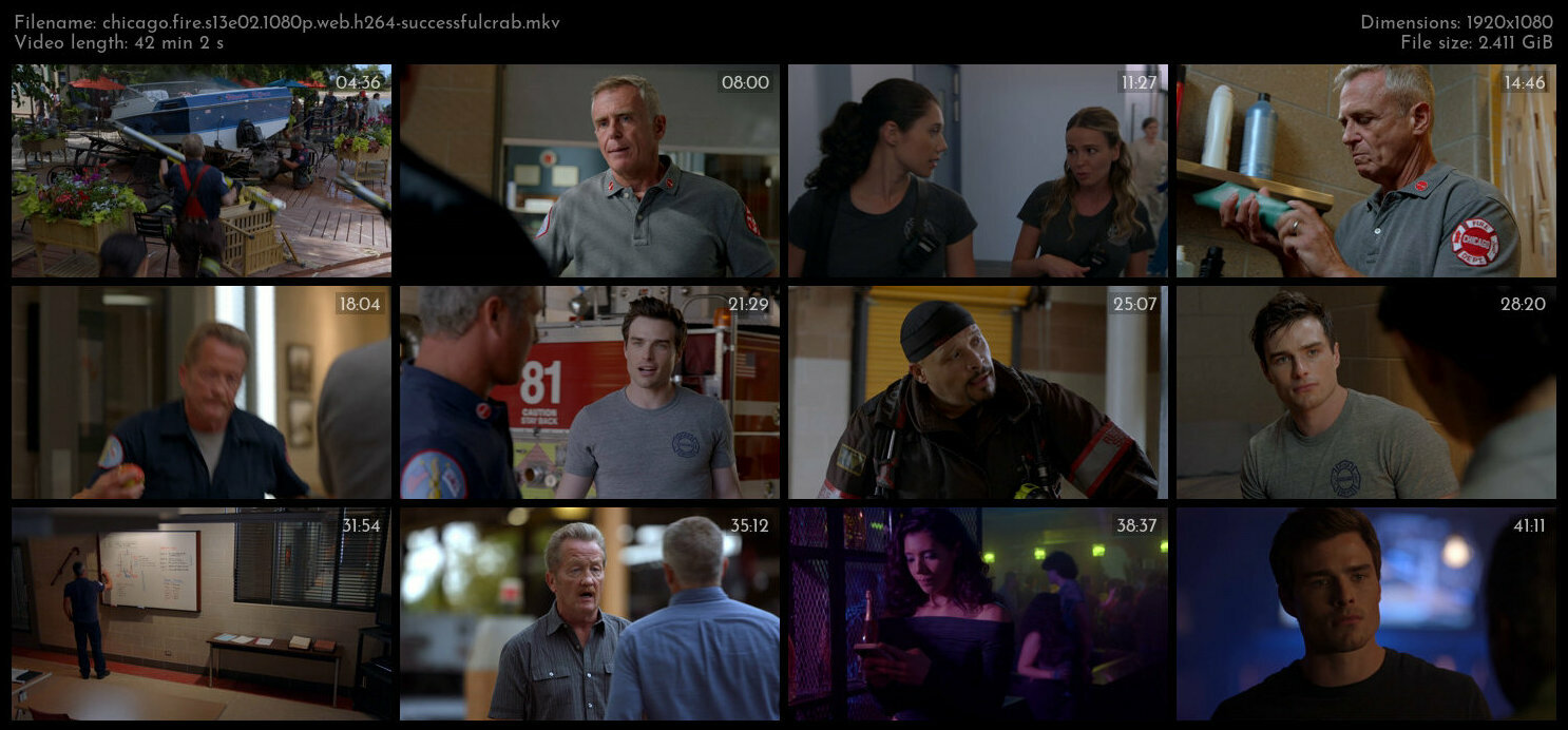 Chicago Fire S13E02 1080p WEB H264 SuccessfulCrab TGx