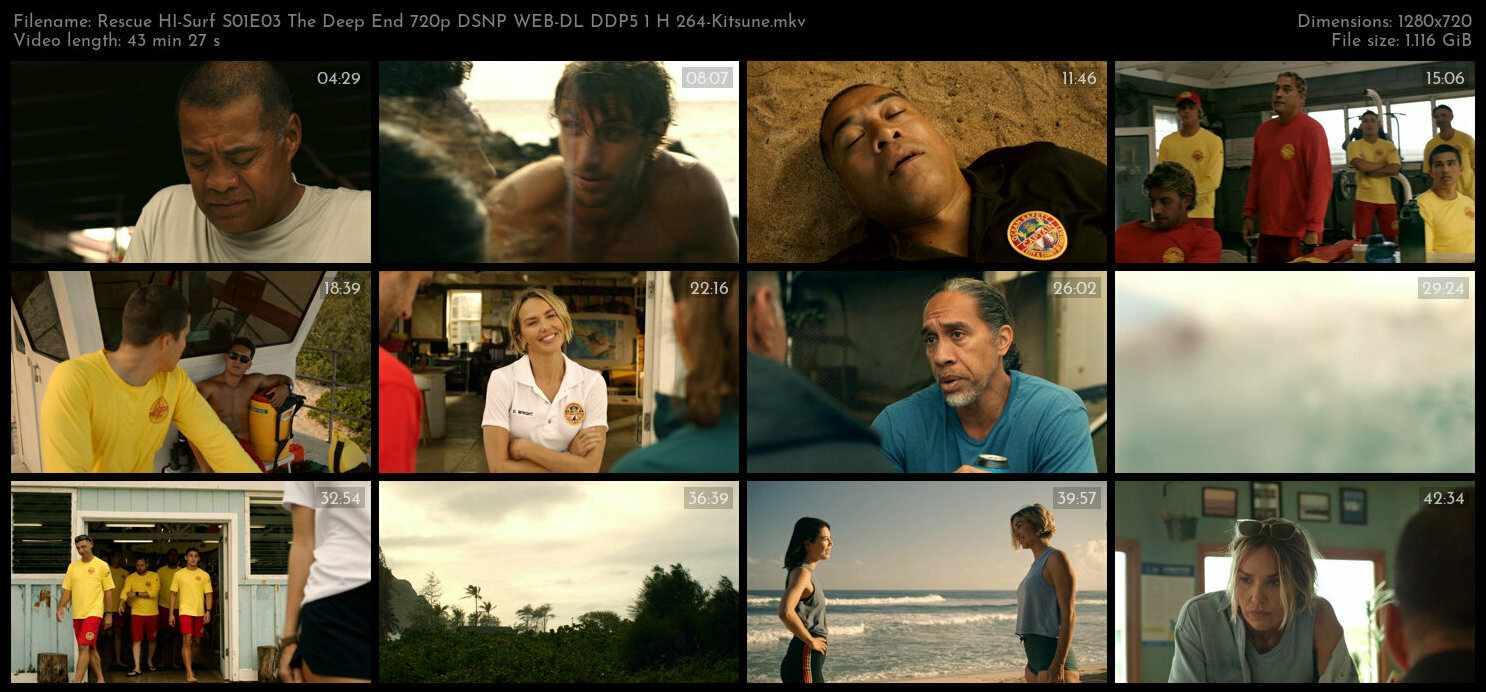 Rescue HI Surf S01E03 The Deep End 720p DSNP WEB DL DDP5 1 H 264 Kitsune TGx