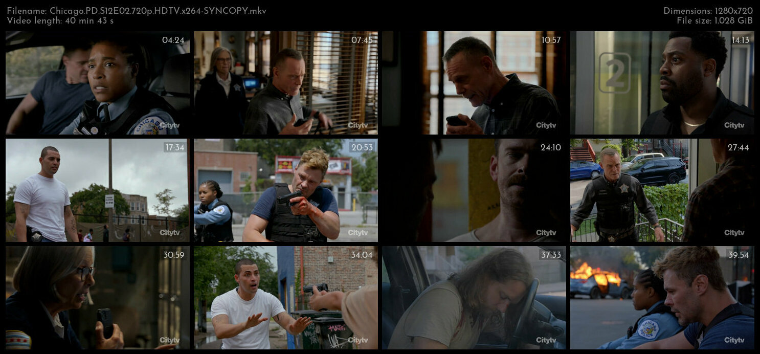 Chicago PD S12E02 720p HDTV x264 SYNCOPY TGx