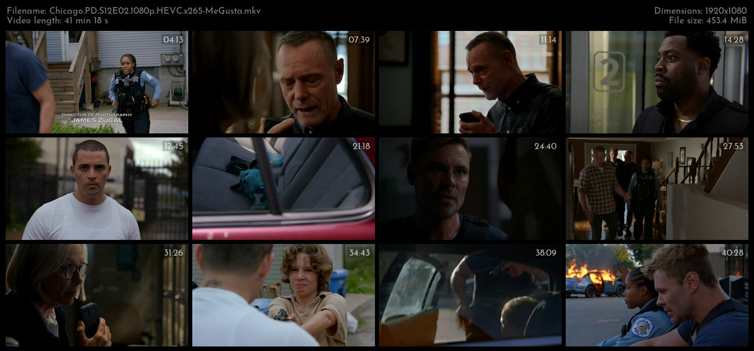 Chicago PD S12E02 1080p HEVC x265 MeGusta TGx