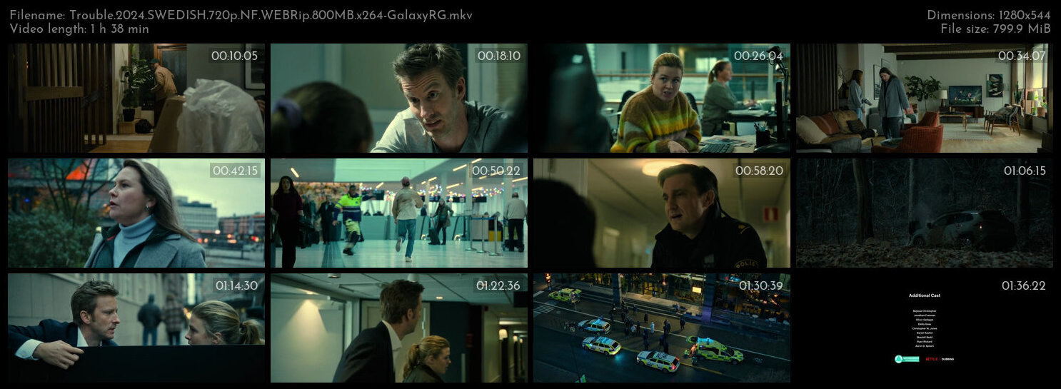 Trouble 2024 SWEDISH 720p NF WEBRip 800MB x264 GalaxyRG