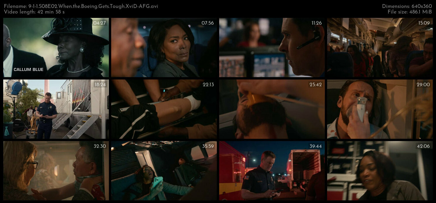 9 1 1 S08E02 When the Boeing Gets Tough XviD AFG TGx