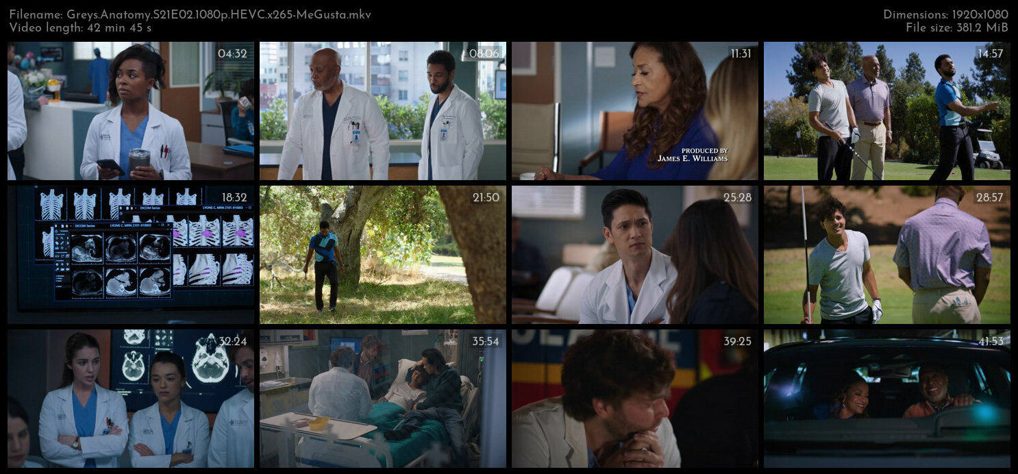 Greys Anatomy S21E02 1080p HEVC x265 MeGusta TGx