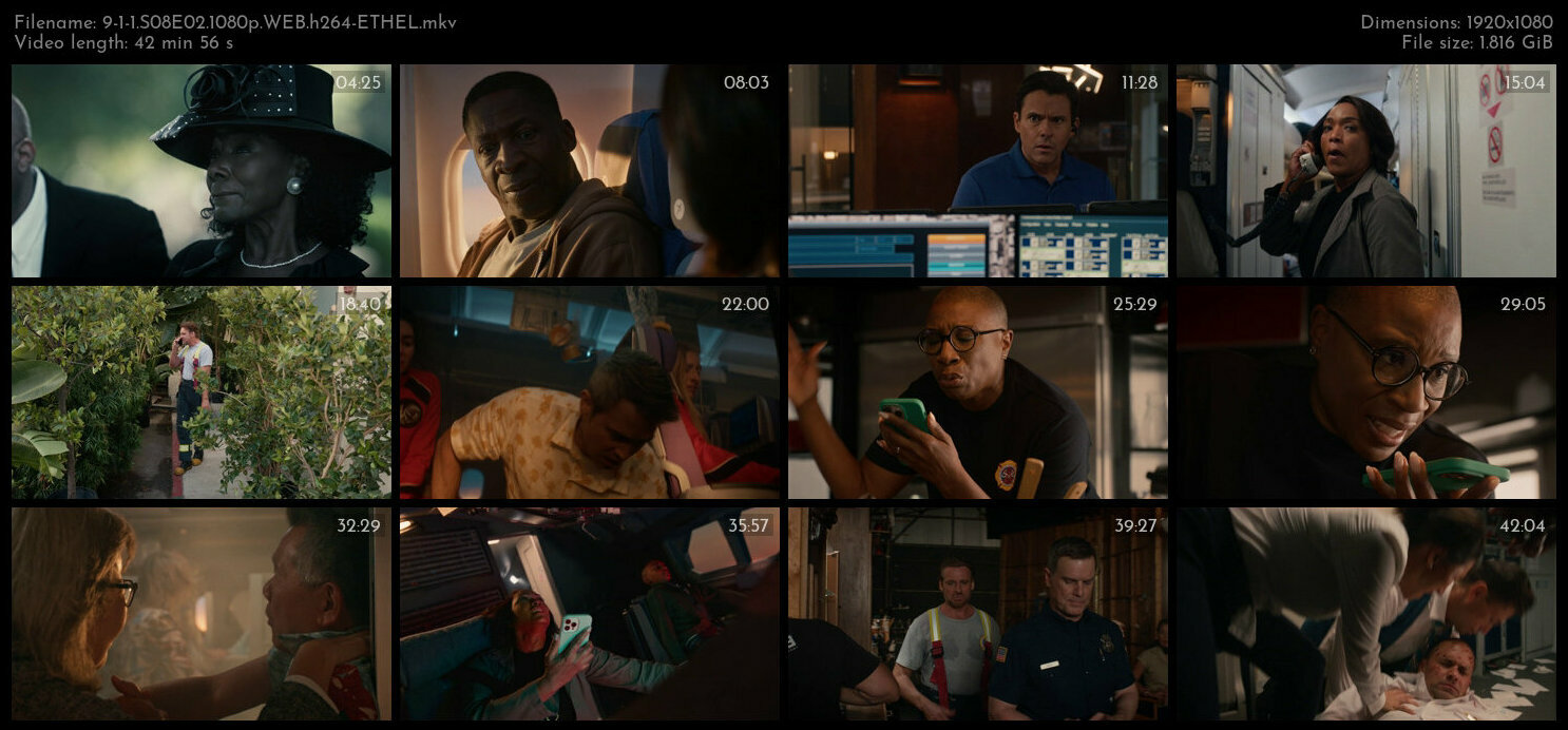 9 1 1 S08E02 1080p WEB h264 ETHEL TGx