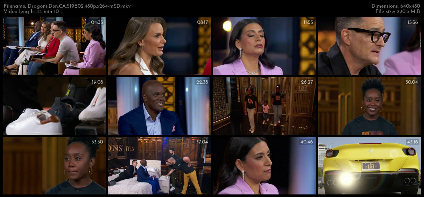 Dragons Den CA S19E02 480p x264 mSD TGx