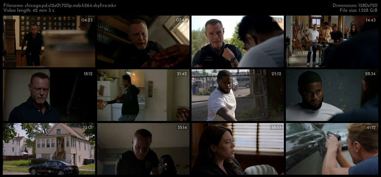 Chicago PD S12E01 720p WEB H264 SKYFiRE TGx