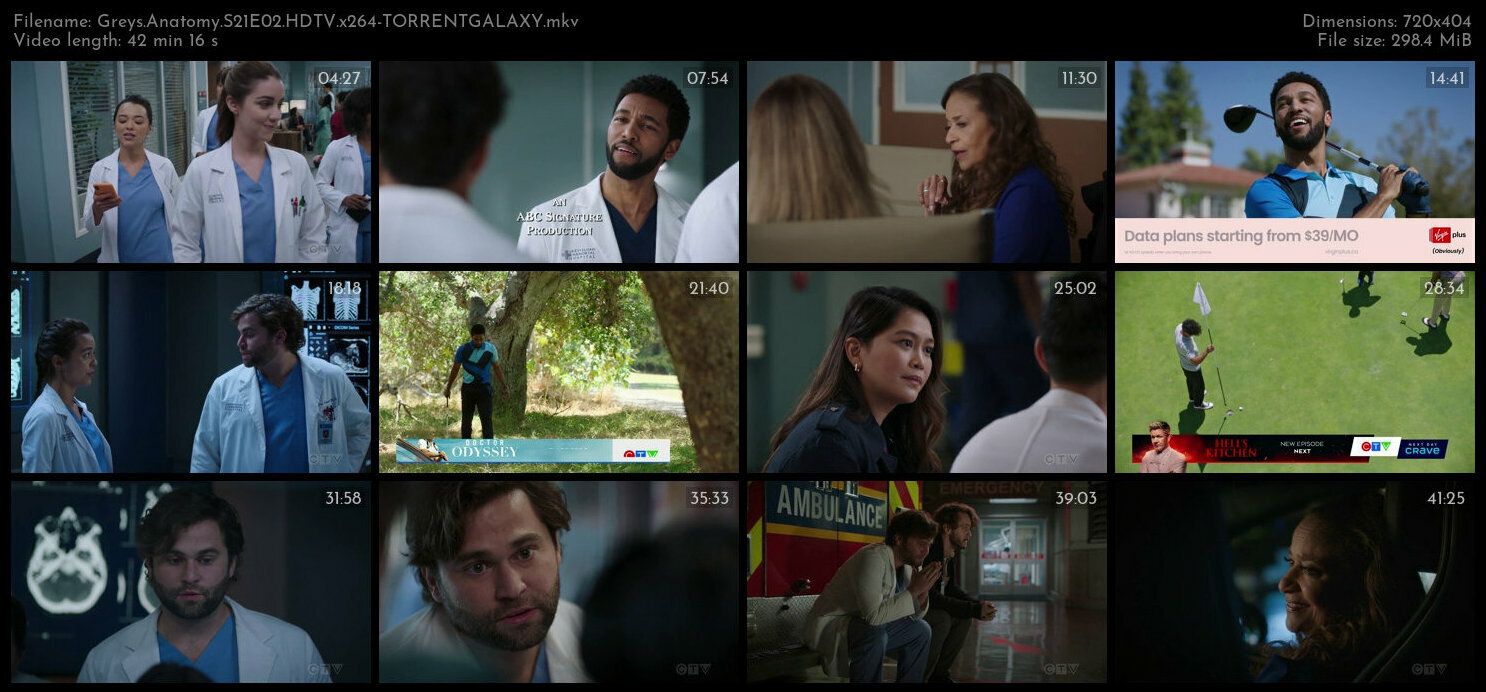 Greys Anatomy S21E02 HDTV x264 TORRENTGALAXY