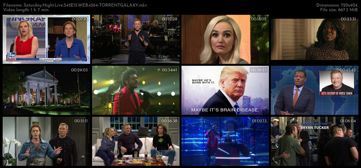 Saturday Night Live S45E15 WEB x264 TORRENTGALAXY