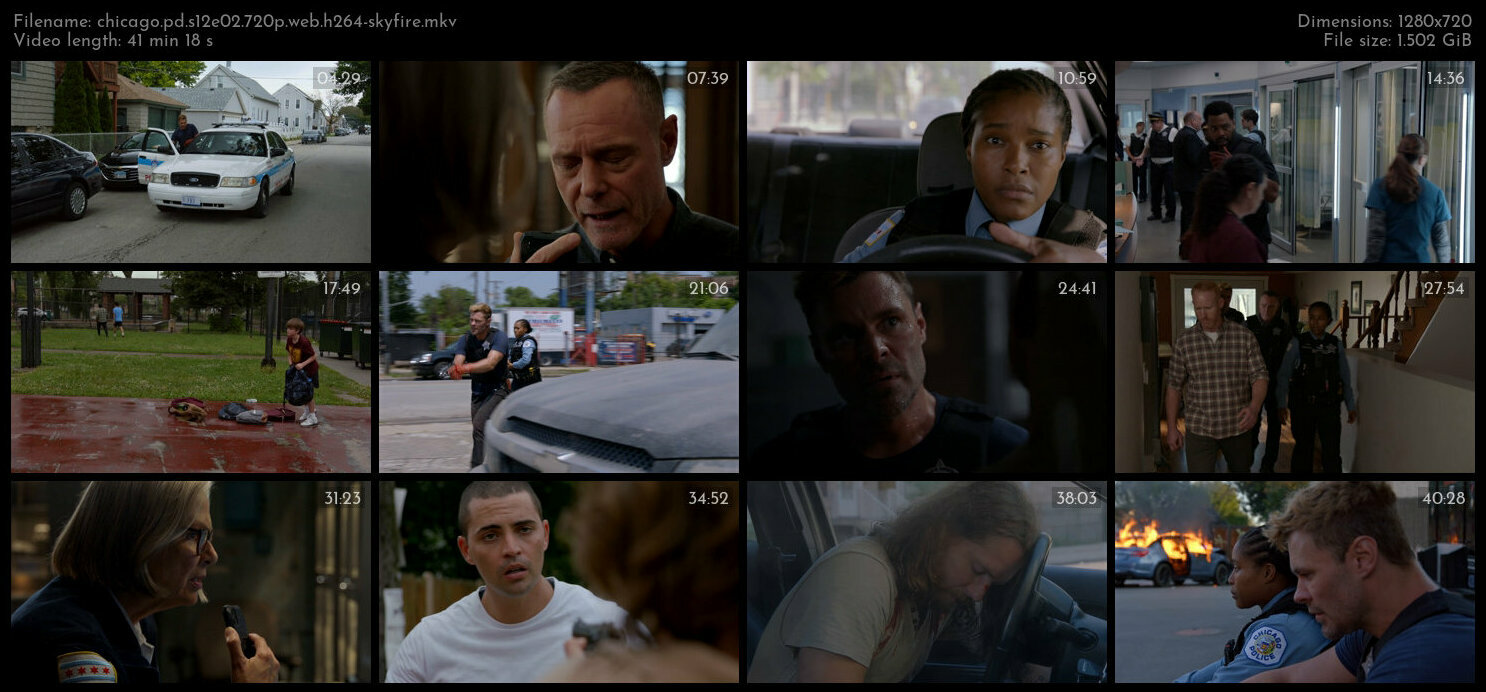 Chicago PD S12E02 720p WEB H264 SKYFiRE TGx