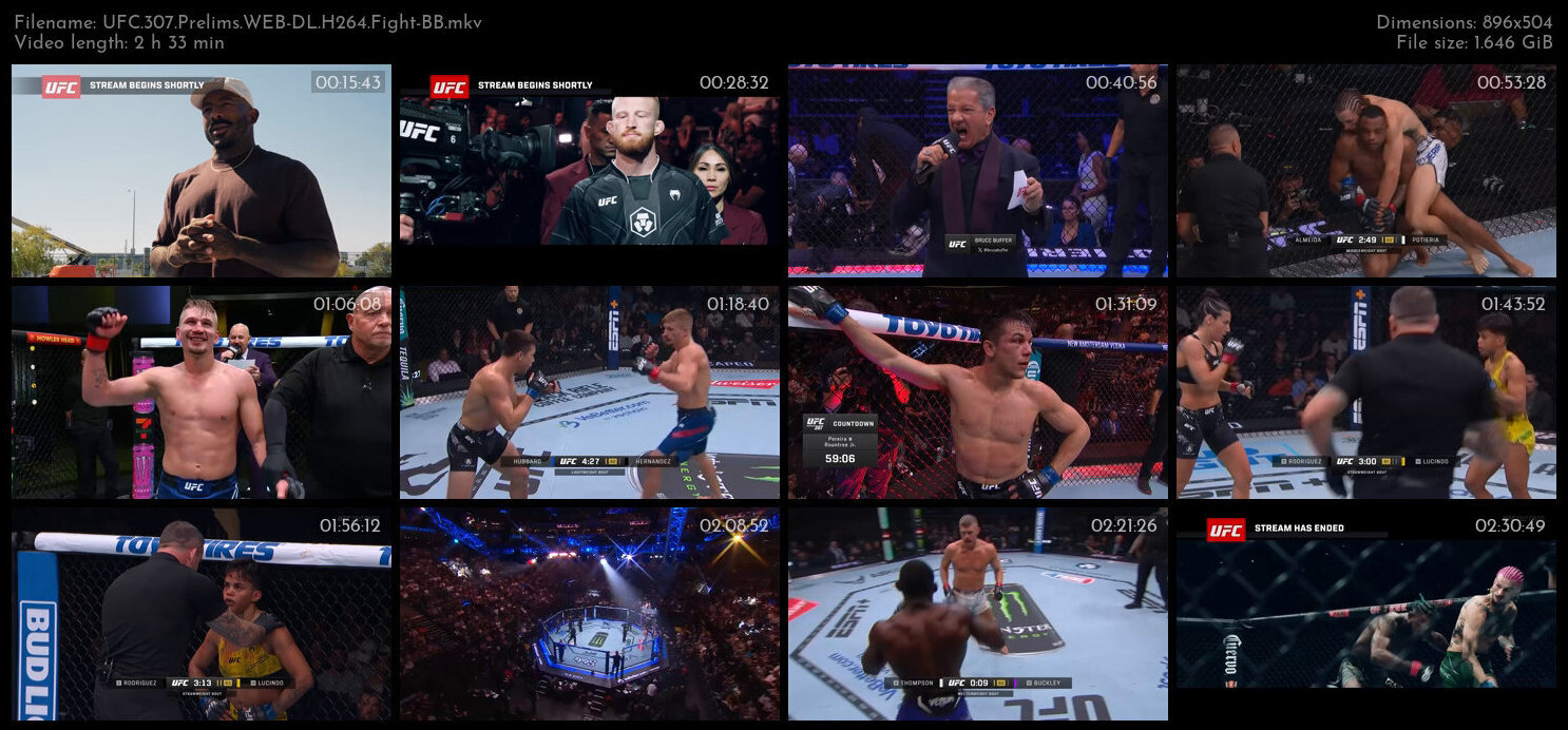 UFC 307 Prelims WEB DL H264 Fight BB