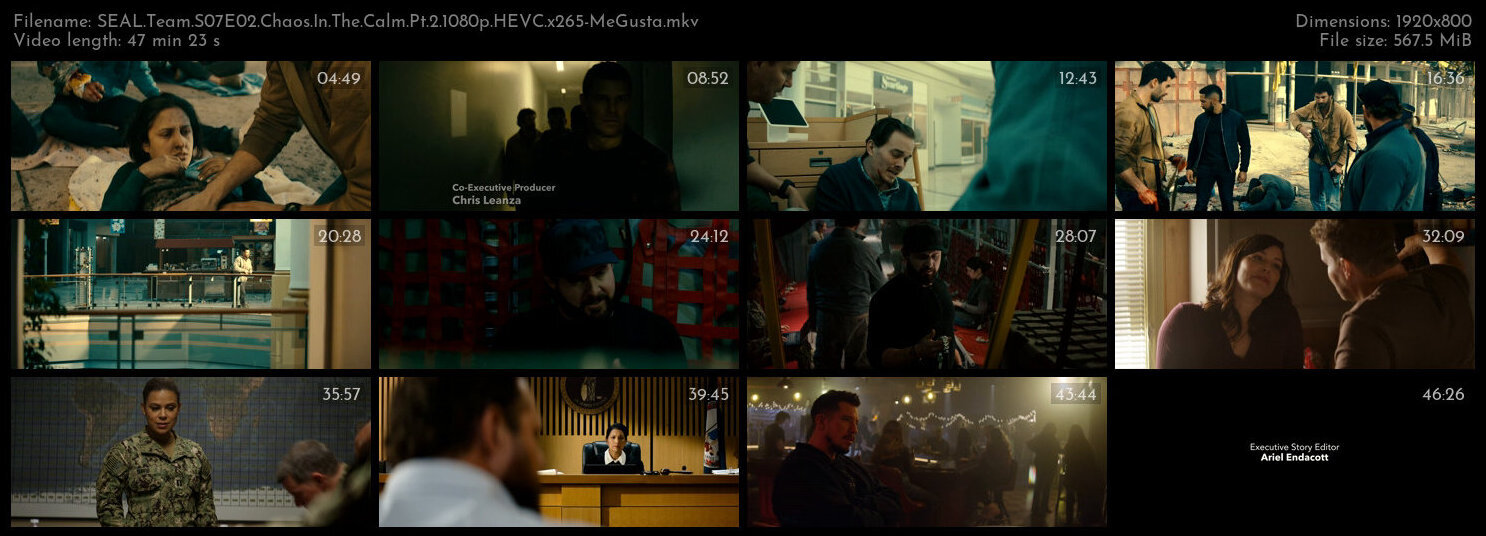 SEAL Team S07E02 Chaos In The Calm Pt 2 1080p HEVC x265 MeGusta TGx