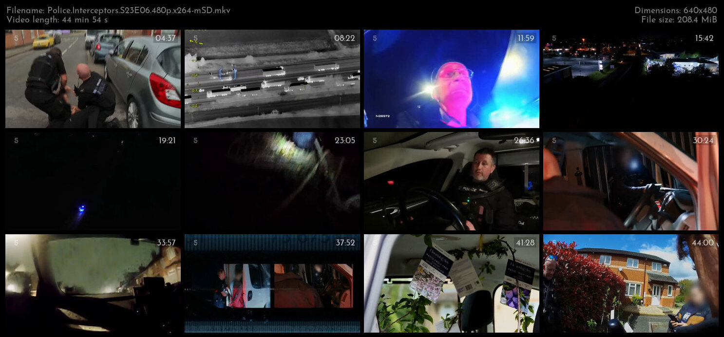 Police Interceptors S23E06 480p x264 mSD TGx