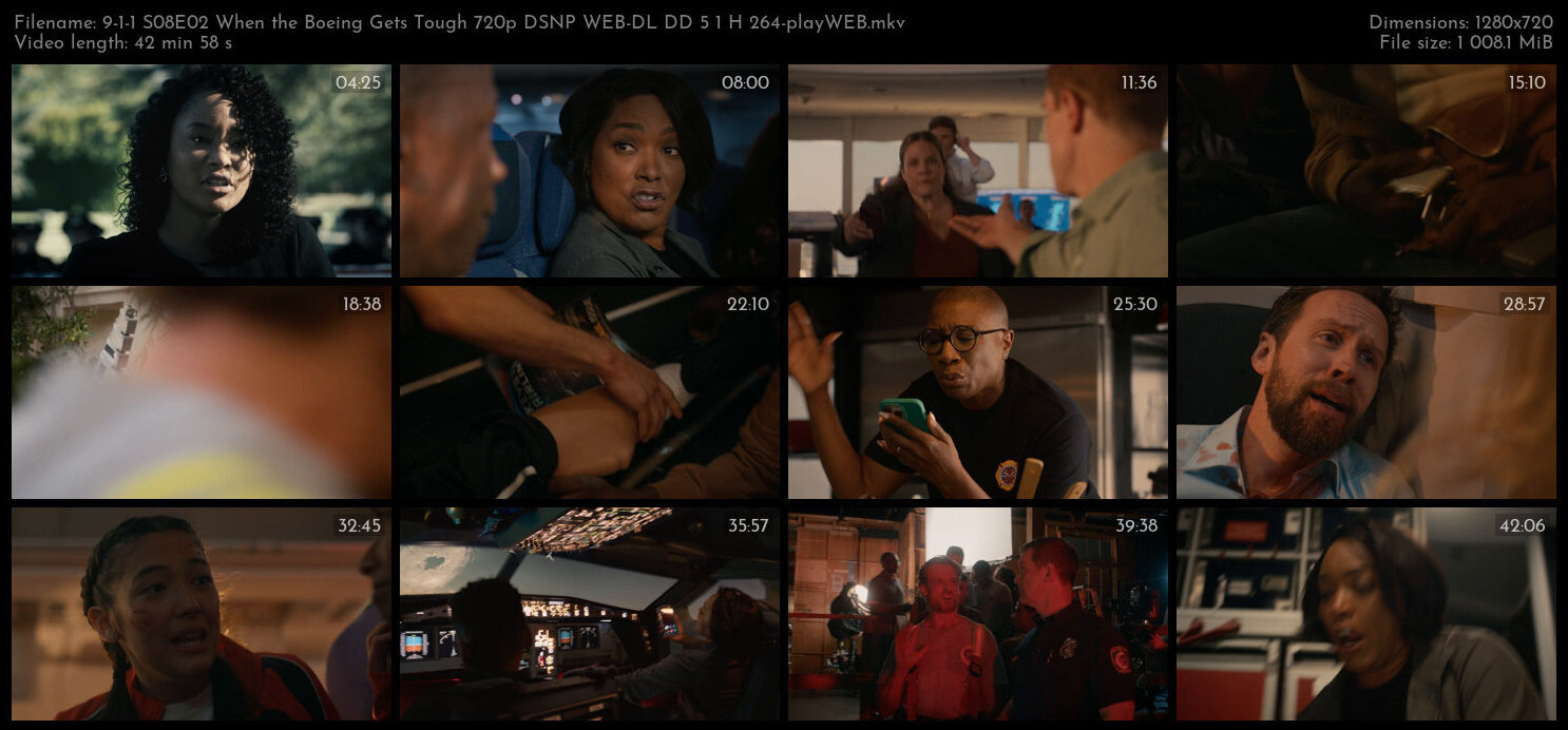 9 1 1 S08E02 When the Boeing Gets Tough 720p DSNP WEB DL DD 5 1 H 264 playWEB TGx