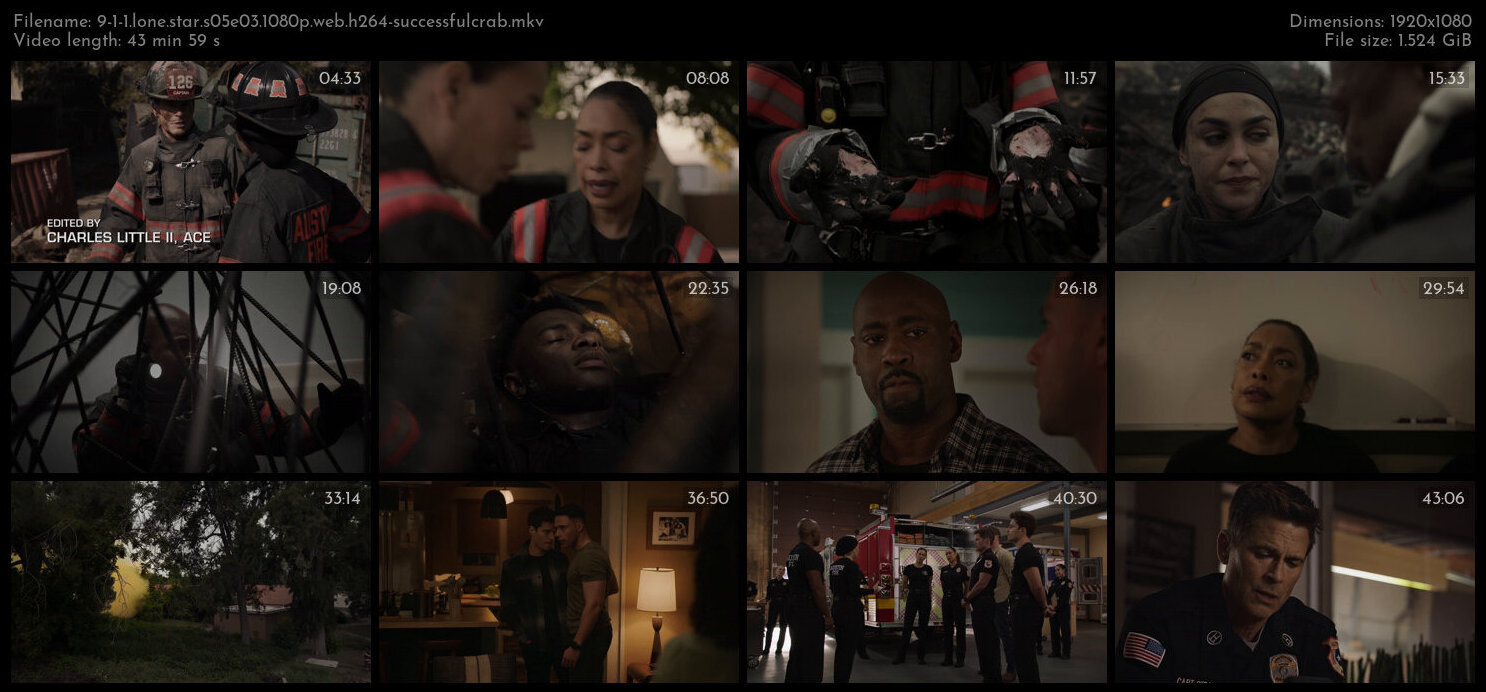 9 1 1 Lone Star S05E03 1080p WEB H264 SuccessfulCrab TGx