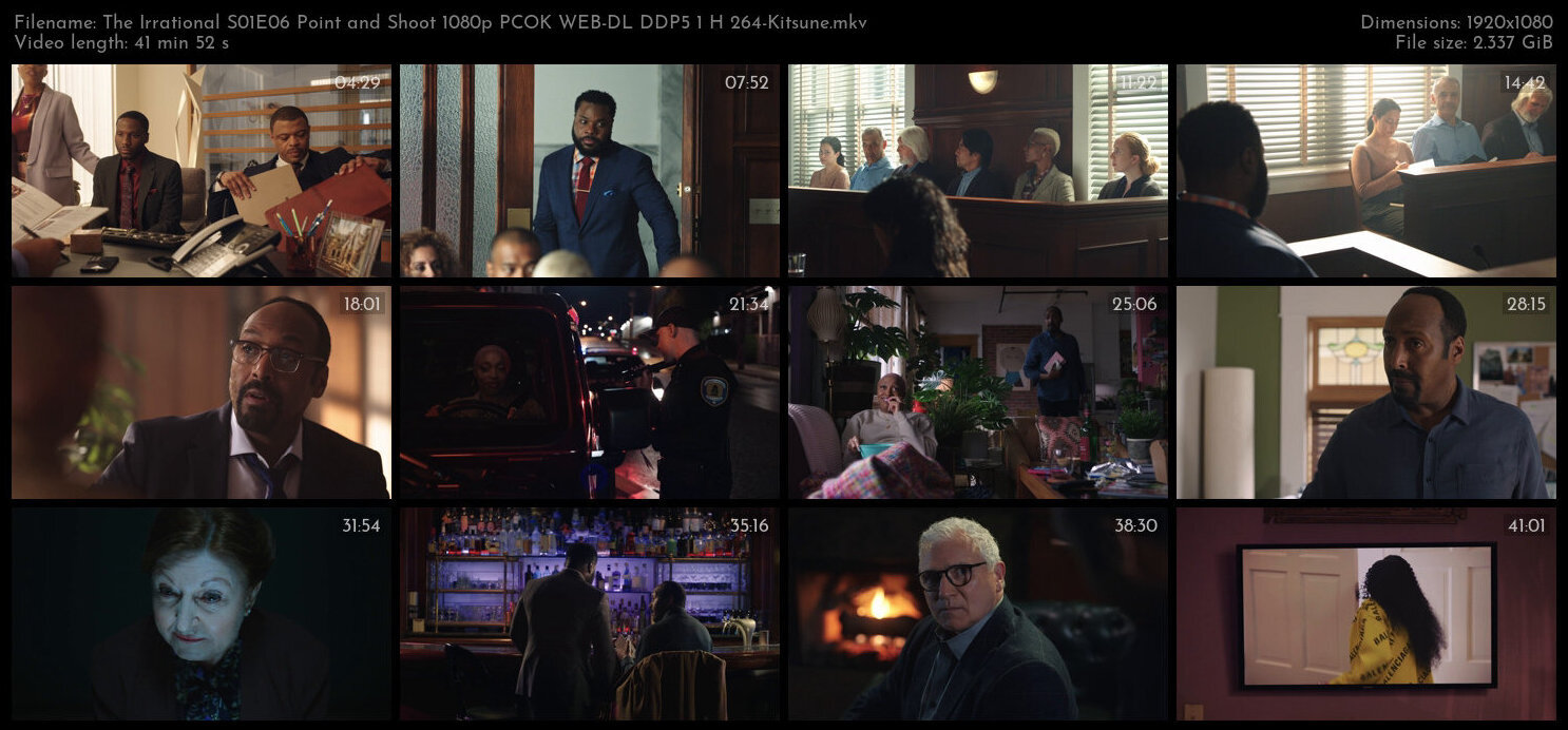 The Irrational S01E06 Point and Shoot 1080p PCOK WEB DL DDP5 1 H 264 Kitsune TGx