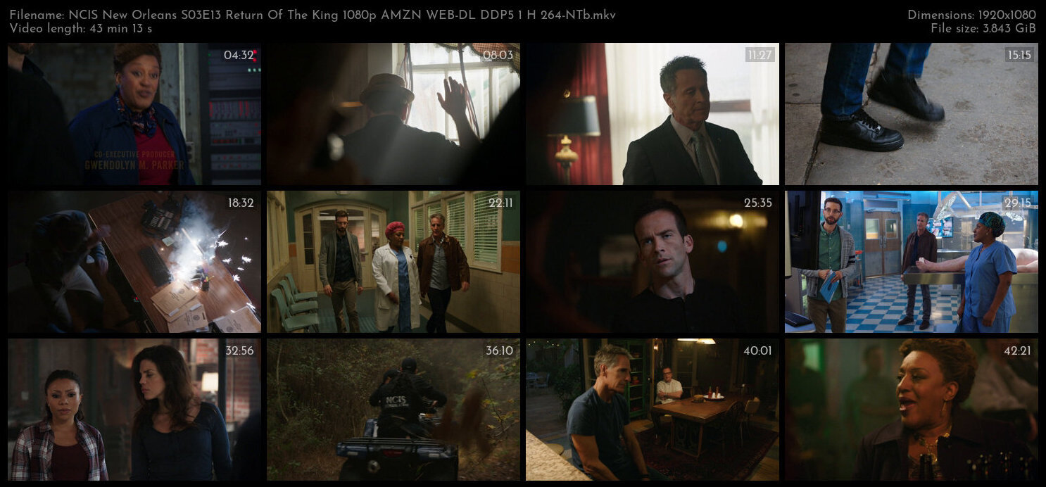 NCIS New Orleans S03E13 Return Of The King 1080p AMZN WEB DL DDP5 1 H 264 NTb TGx