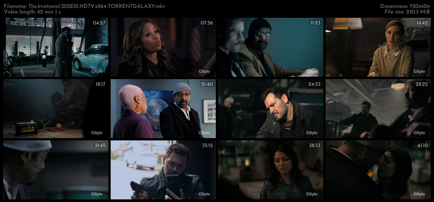 The Irrational S02E01 HDTV x264 TORRENTGALAXY