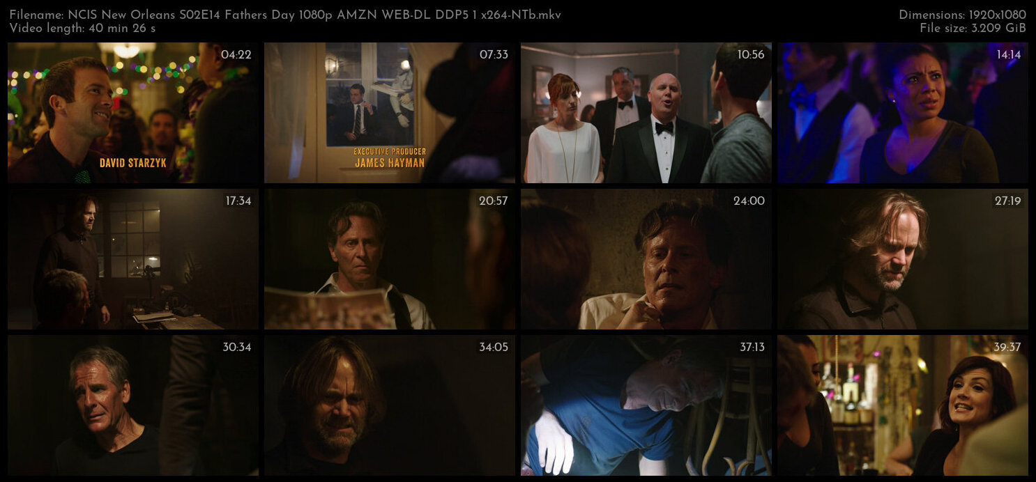 NCIS New Orleans S02E14 Fathers Day 1080p AMZN WEB DL DDP5 1 x264 NTb TGx