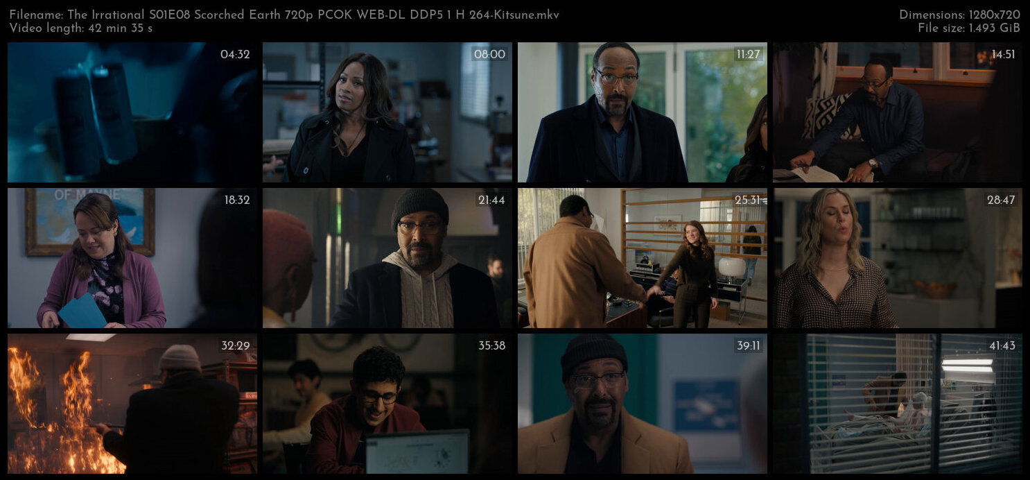 The Irrational S01E08 Scorched Earth 720p PCOK WEB DL DDP5 1 H 264 Kitsune TGx