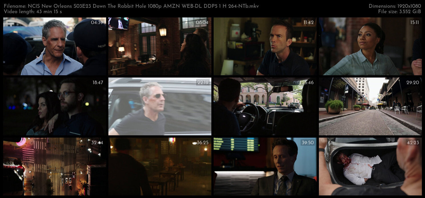 NCIS New Orleans S03E23 Down The Rabbit Hole 1080p AMZN WEB DL DDP5 1 H 264 NTb TGx