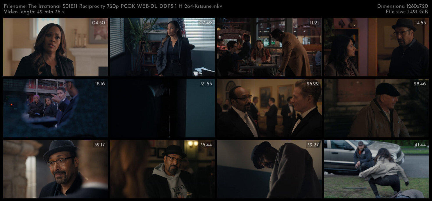 The Irrational S01E11 Reciprocity 720p PCOK WEB DL DDP5 1 H 264 Kitsune TGx