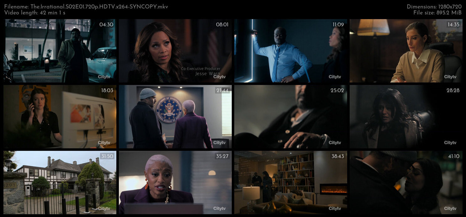 The Irrational S02E01 720p HDTV x264 SYNCOPY TGx