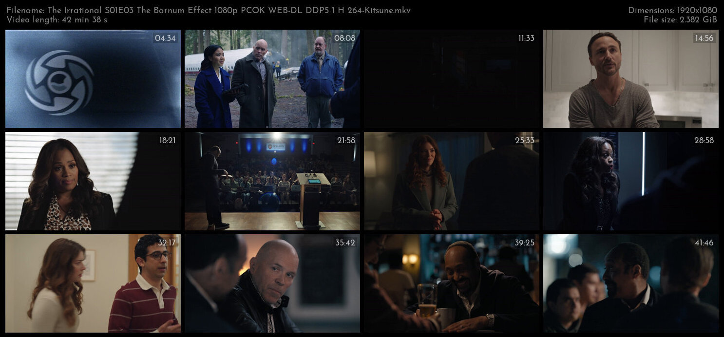 The Irrational S01E03 The Barnum Effect 1080p PCOK WEB DL DDP5 1 H 264 Kitsune TGx