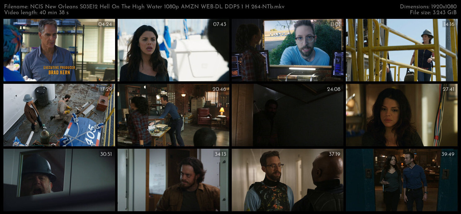 NCIS New Orleans S03E12 Hell On The High Water 1080p AMZN WEB DL DDP5 1 H 264 NTb TGx