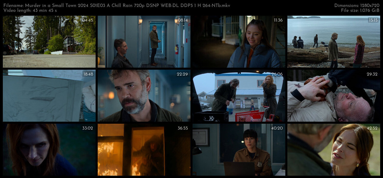 Murder in a Small Town 2024 S01E03 A Chill Rain 720p DSNP WEB DL DDP5 1 H 264 NTb TGx