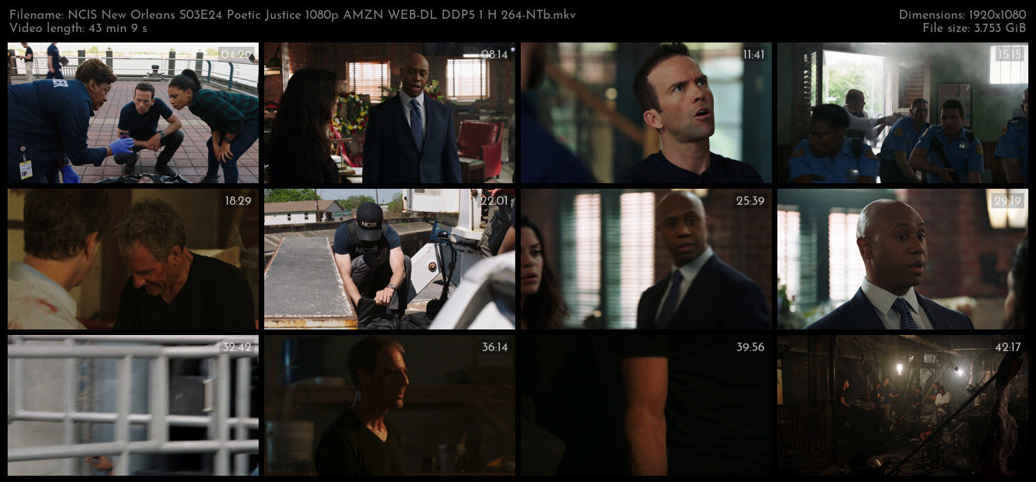 NCIS New Orleans S03E24 Poetic Justice 1080p AMZN WEB DL DDP5 1 H 264 NTb TGx