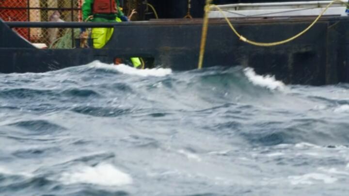 Deadliest Catch S20E17 WEB x264 TORRENTGALAXY