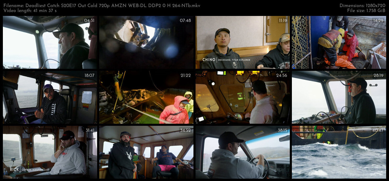 Deadliest Catch S20E17 Out Cold 720p AMZN WEB DL DDP2 0 H 264 NTb TGx