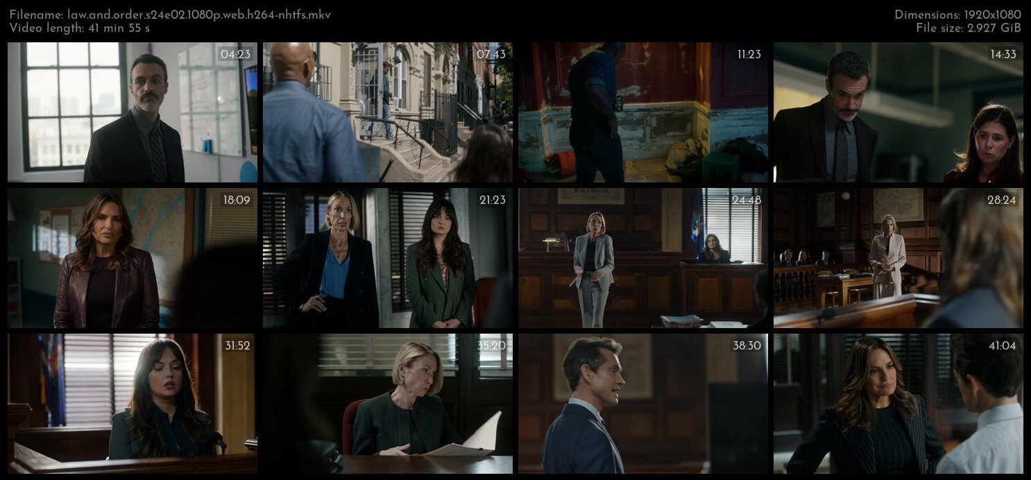 Law and Order S24E02 1080p WEB H264 NHTFS TGx