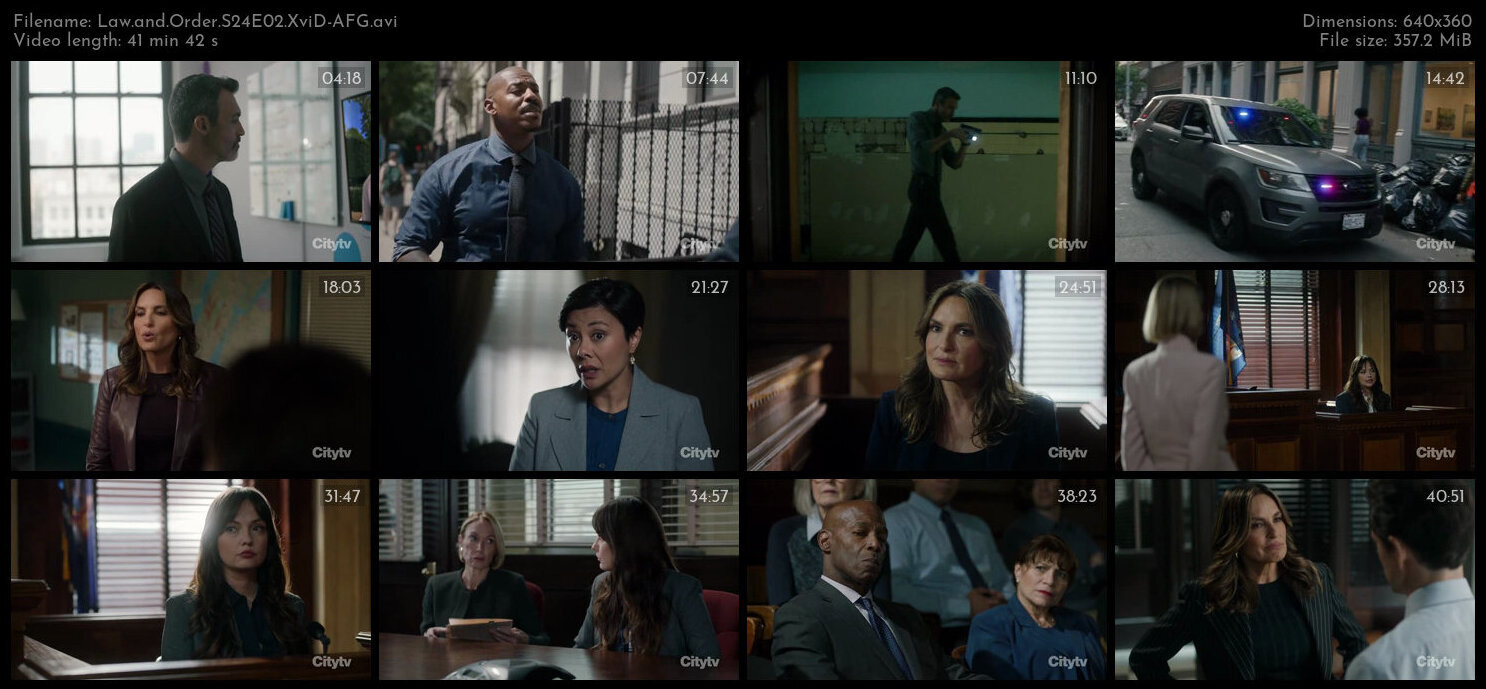 Law and Order S24E02 XviD AFG TGx