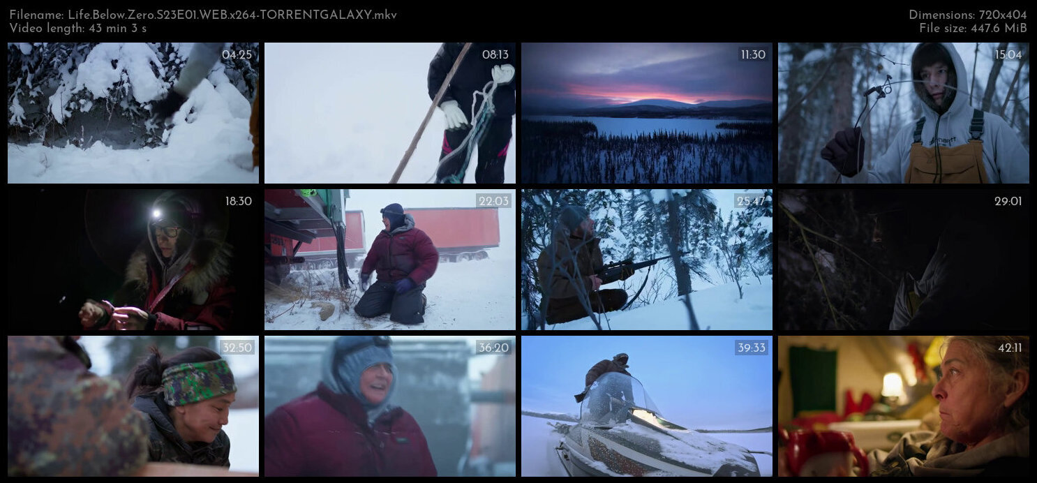 Life Below Zero S23E01 WEB x264 TORRENTGALAXY