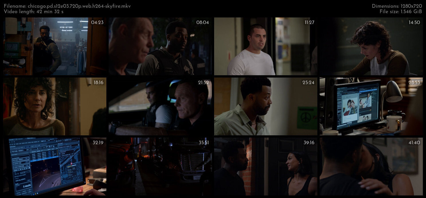 Chicago PD S12E03 720p WEB H264 SKYFiRE TGx