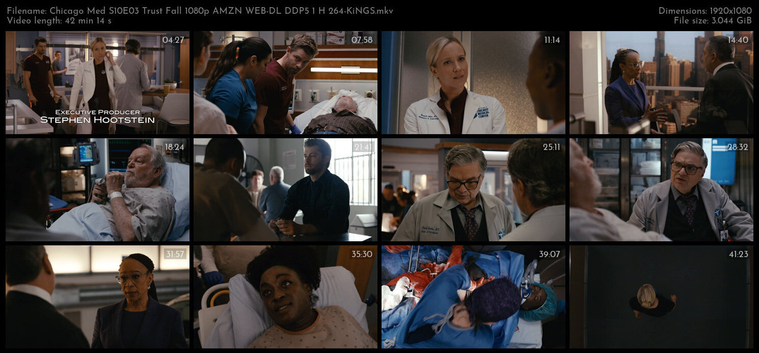 Chicago Med S10E03 Trust Fall 1080p AMZN WEB DL DDP5 1 H 264 KiNGS TGx