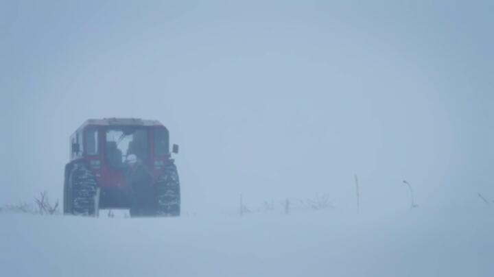 Life Below Zero S23E02 WEB x264 TORRENTGALAXY