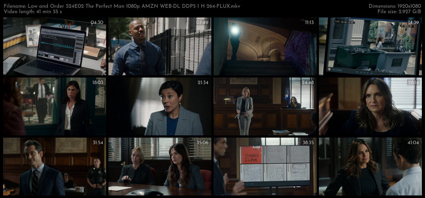 Law and Order S24E02 The Perfect Man 1080p AMZN WEB DL DDP5 1 H 264 FLUX TGx