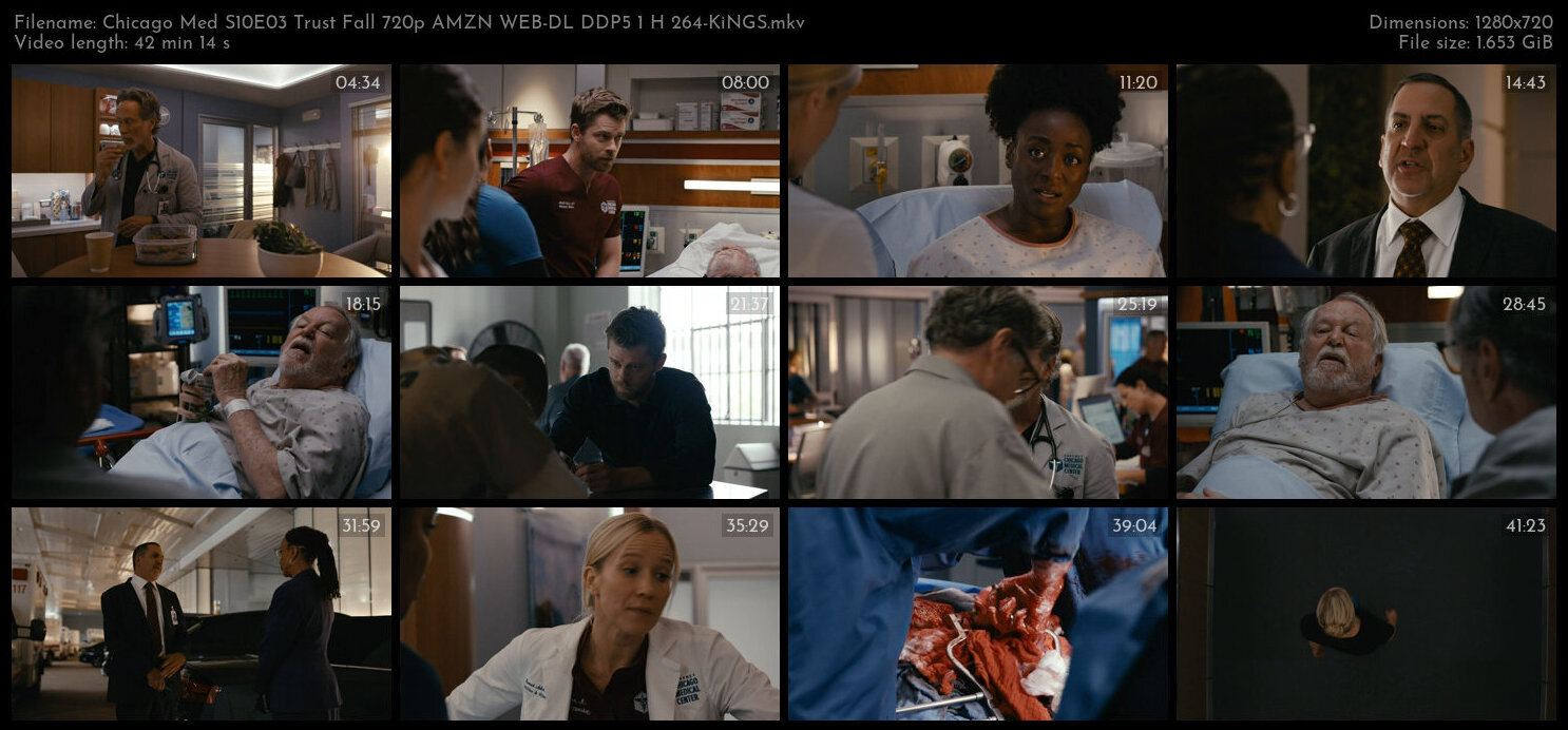 Chicago Med S10E03 Trust Fall 720p AMZN WEB DL DDP5 1 H 264 KiNGS TGx