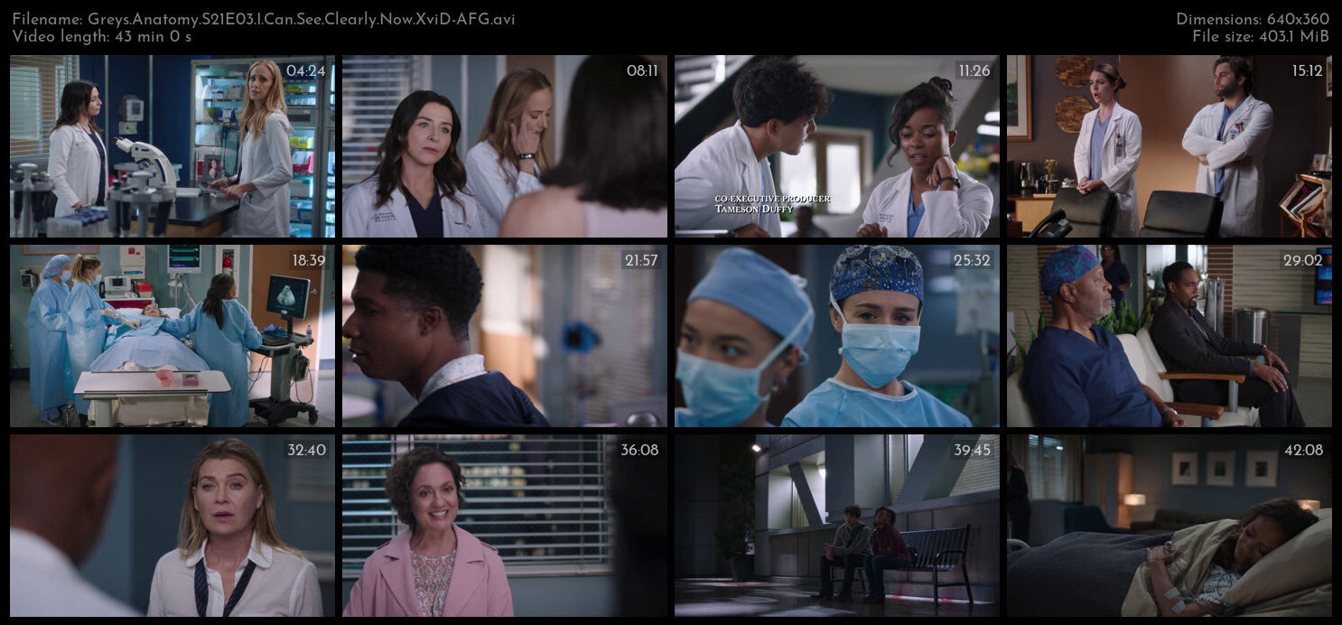 Greys Anatomy S21E03 I Can See Clearly Now XviD AFG TGx